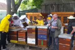 IMG-20190530-WA0002_web