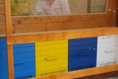 IMG-20190530-WA0006_web