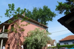 P1300184_web