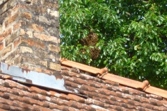 P1300185_web
