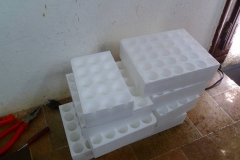 P1300200_web