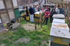 IMG-20191229-WA0003