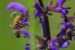 DSC_8627_1000x665