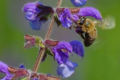 DSC_8634_1000x665