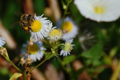 DSC_9039_1000x665
