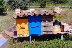 IMG_3025_1000px