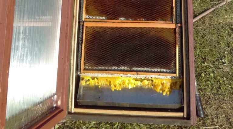 img-20161011-wa0001_800x445