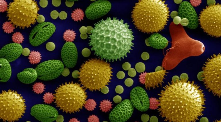 misc_pollen_colorized_800x445