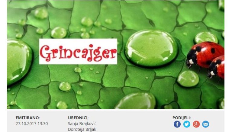 grincajger_800x445