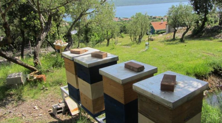 pcelinjak_hlevnjak_800x445