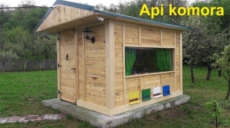 API_komora_800x445