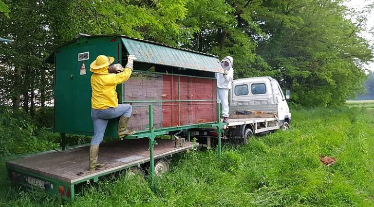 IMG-20190528-WA0002_800x445