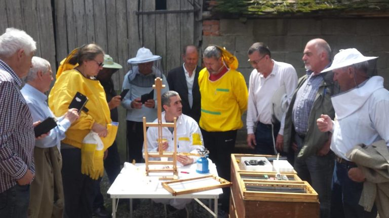 IMG-20190530-WA0000_web