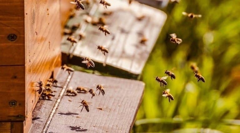 potpore_2023_800x445