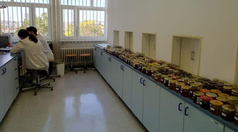 zzzagimed_senzorika1_800x445