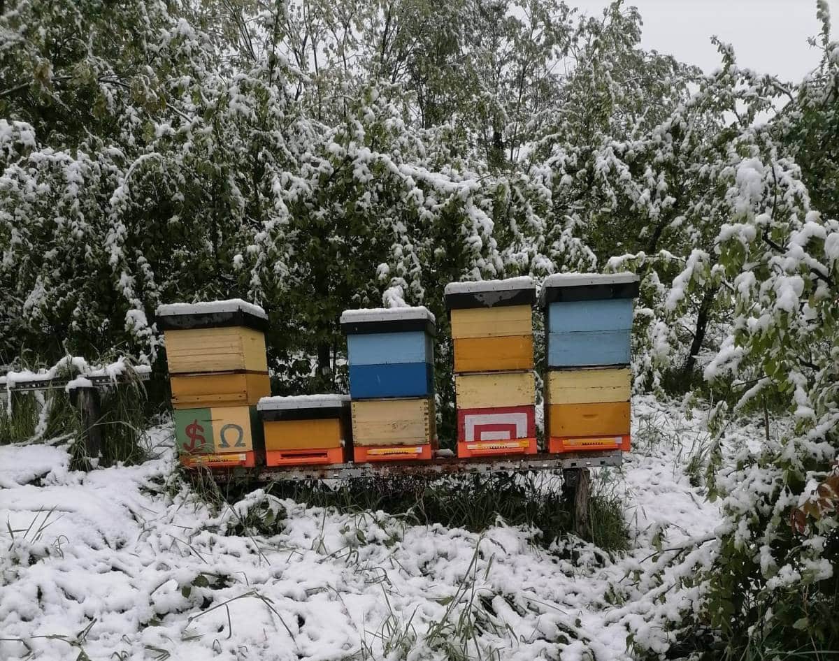 snijeg_travanj2024_vedak