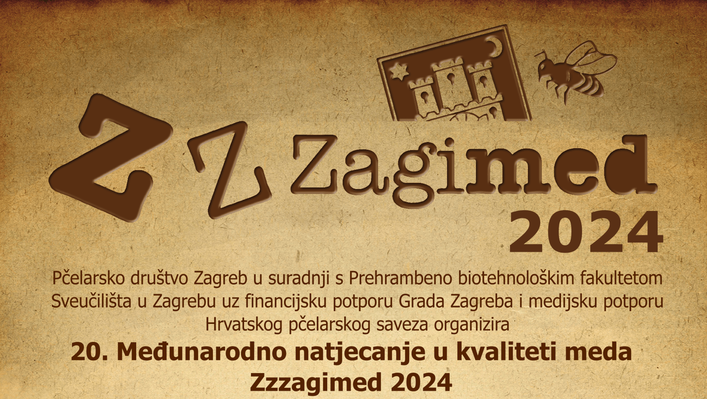 Zzzagimed_2024_naslov