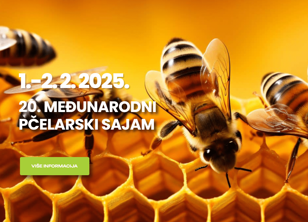 2025-01-20 07_24_17-Gudovac