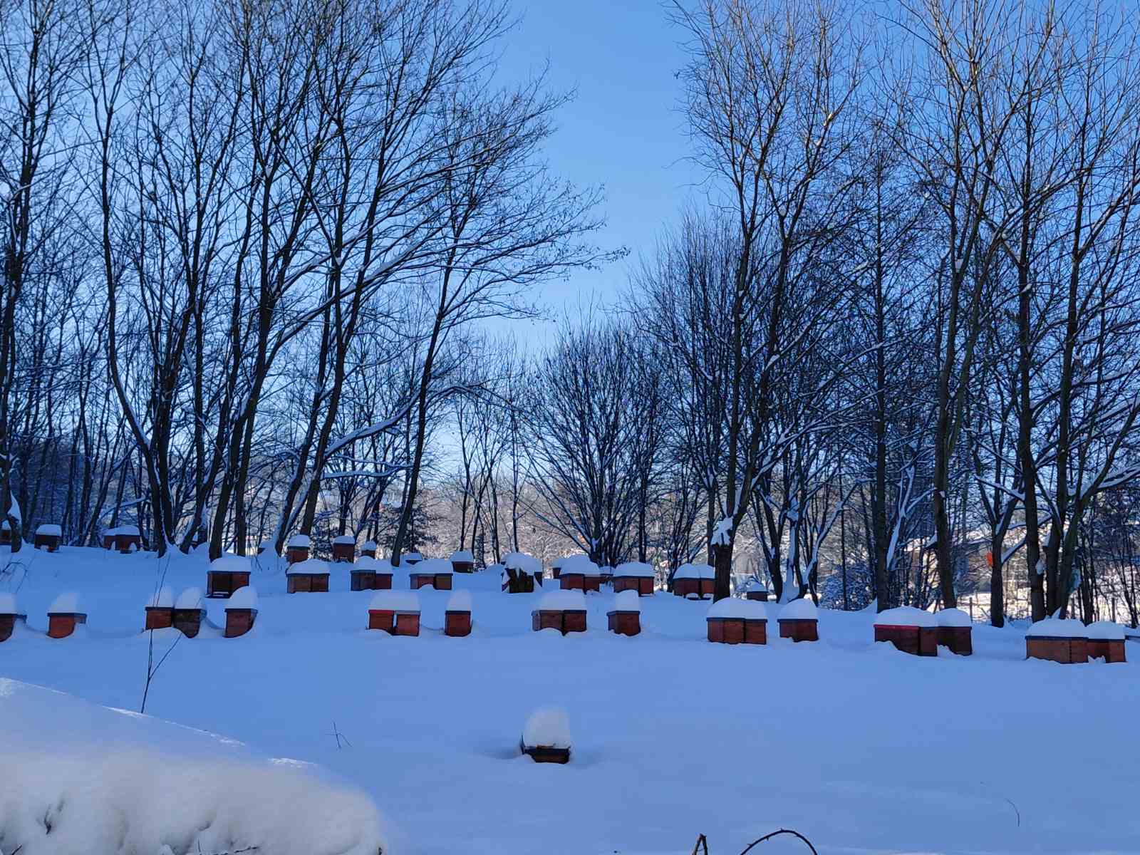 0-02-05-ae9ac9319d43f30c52bc8688accc43b643a0df04a0aac80c9cadfdd521d213a1_5b29234a414ce354