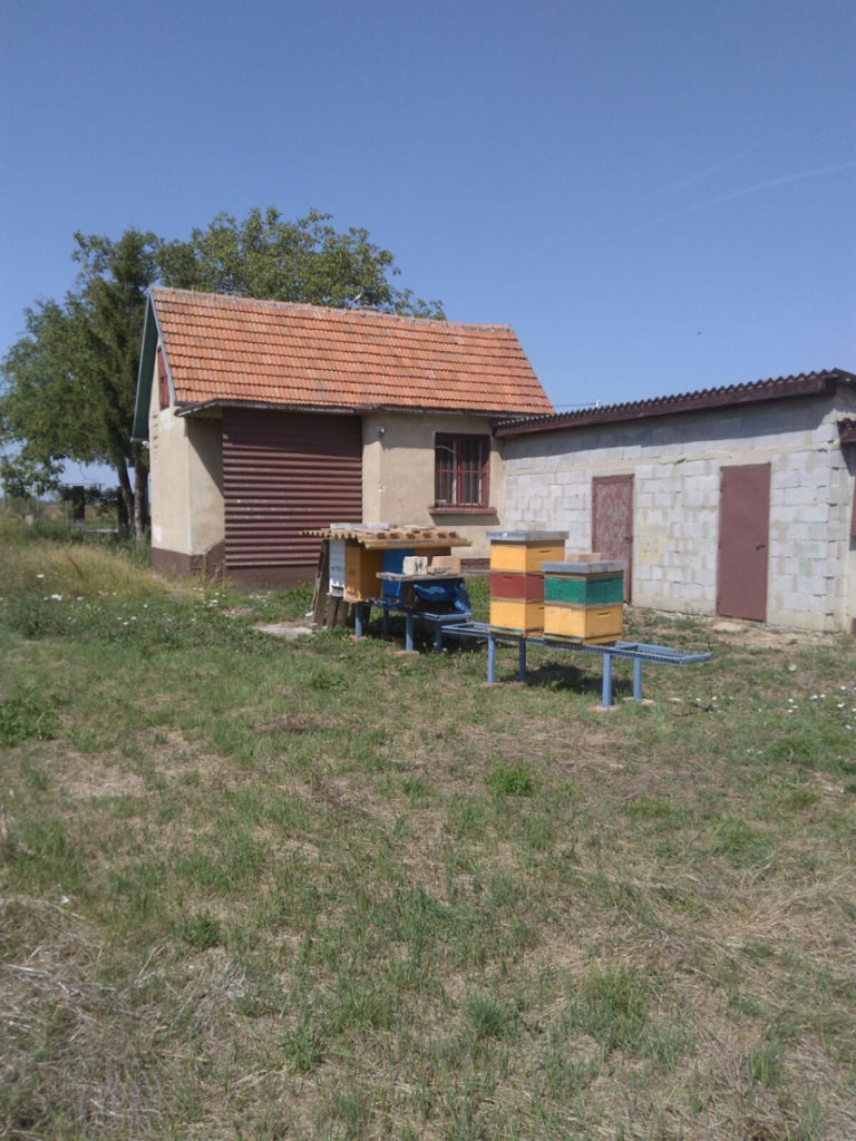 2017-09-08-PHOTO-00000328